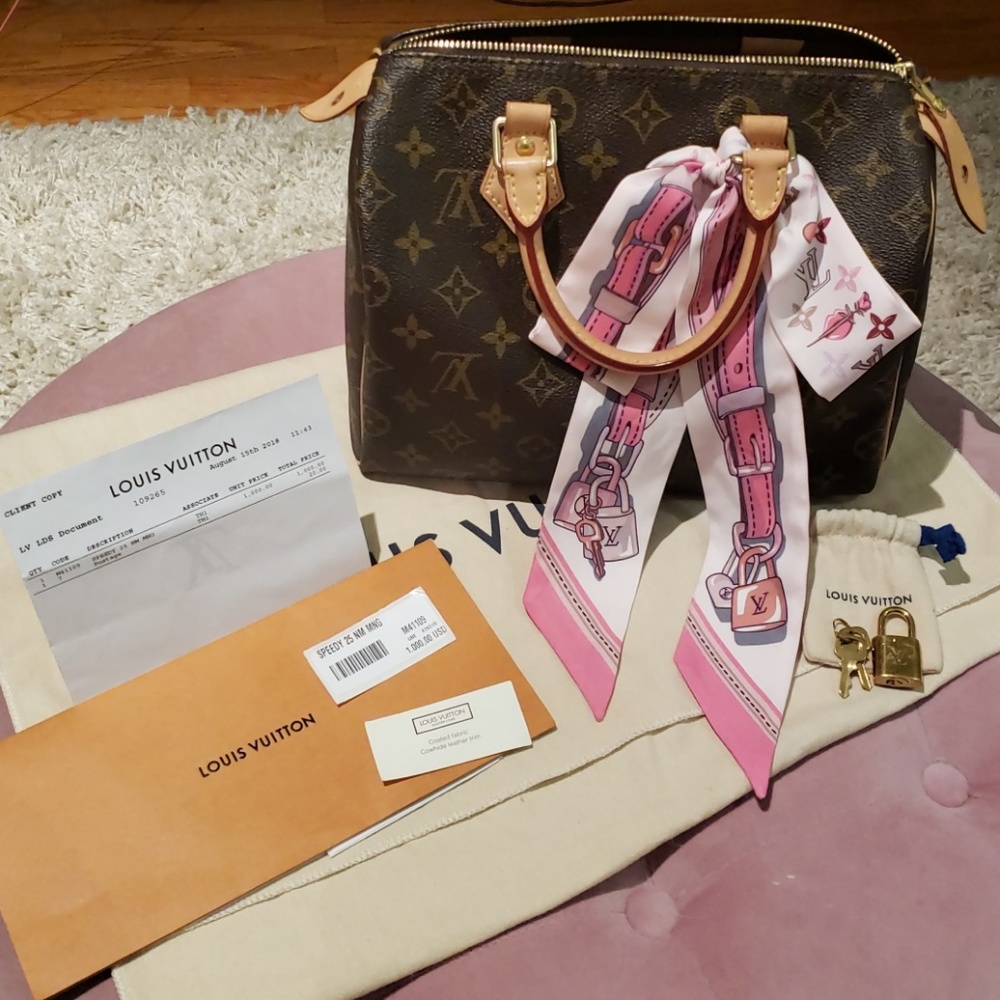 Louis Vuitton speedy 25 in monogram